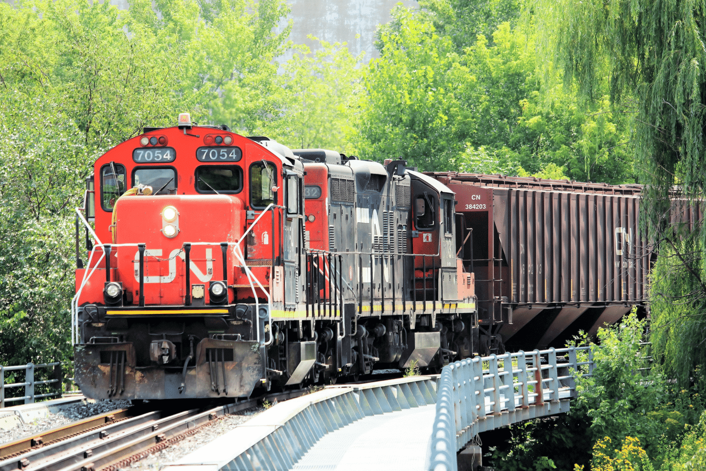 train at Stone Mountain Scenic Railroad one of the many things to see near the ellis stone mountain apts for rent